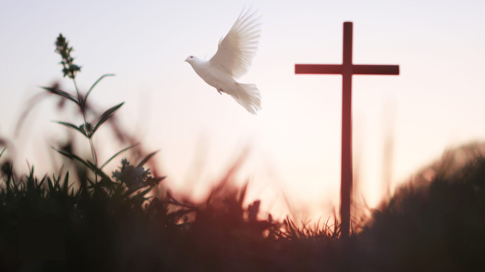 peace of god