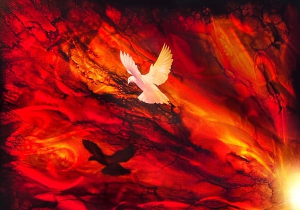 evil bird